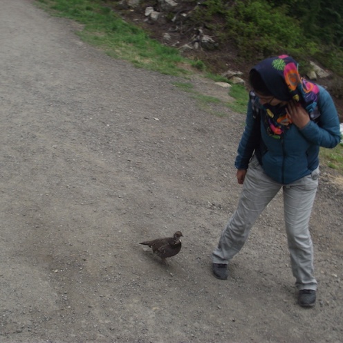 Grouse Mountain 2017: Sepideh with a grouse